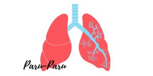 Read more about the article Merawat Kesehatan Paru-Paru Di Tengah Pandemi